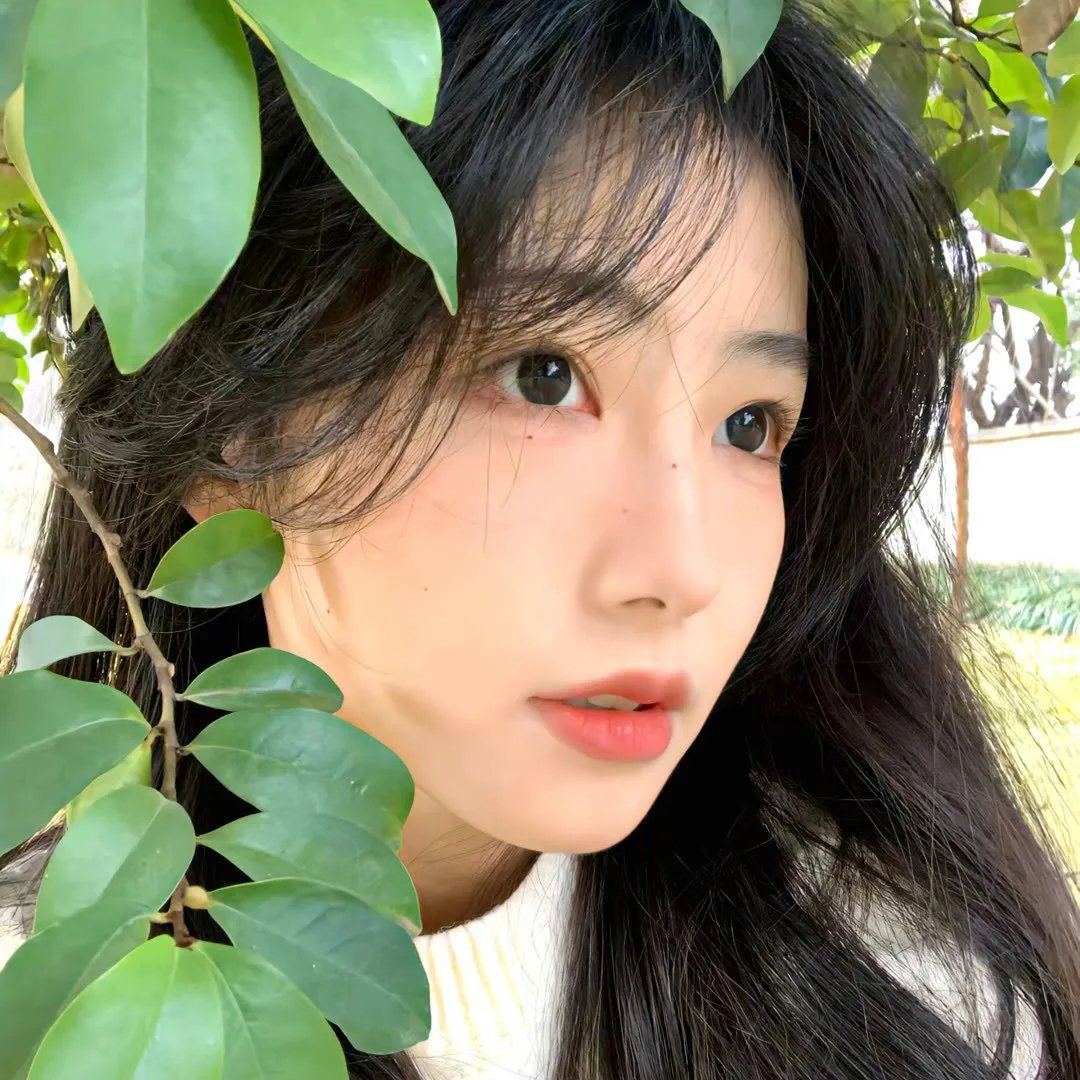 疯狂盯梢令