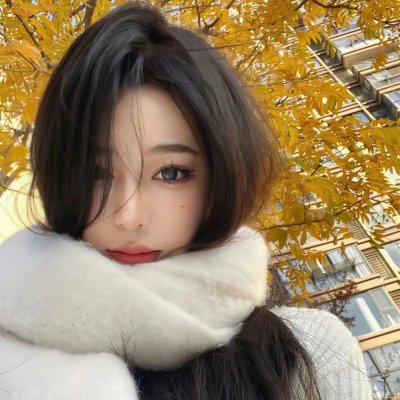 恋爱无法用双子除尽
