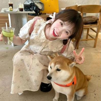 那年盛夏我们绽放如花